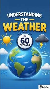 Understanding the Weather || Class 7 || Social Science (Exploring Society: India and Beyond)