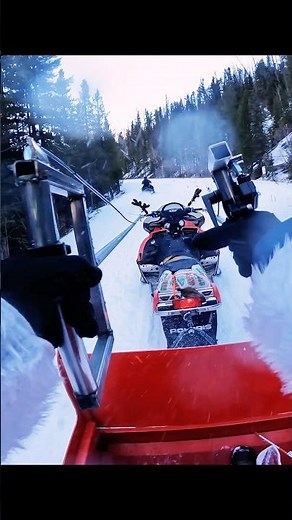 Testing out a new breed of reindeer- full video is linked! #snowmobile #chariot