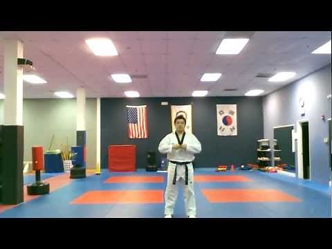 Taegeuk Sa Jang - High Green Belt Form