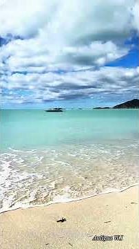 A bit of a refresher