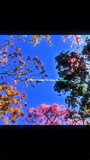 Pal Pal Dil Ke Paas – Arijit Singh | Aesthetic Lyrics Video #HindiSongs #AestheticShorts