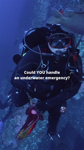 Join the PADI Rescue Diver Challenge for Skill Growth