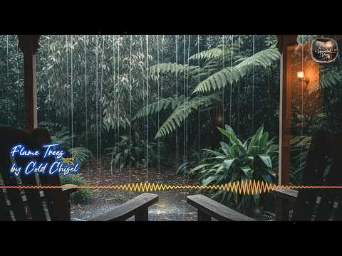 Flame Trees - Cold Chisel (Cozy Jazz Acoustic) | Rainy Afternoon Session
