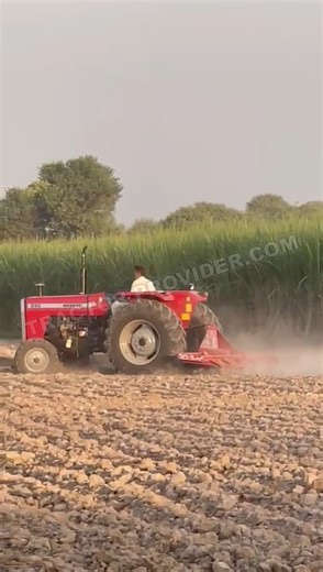 5.8K views · 140 reactions | Massive 290 2WD Tractor on field  #tractors #massivefarmtractors #agriculture #farm #farmers | Tractor Provider Co. Ltd | Facebook