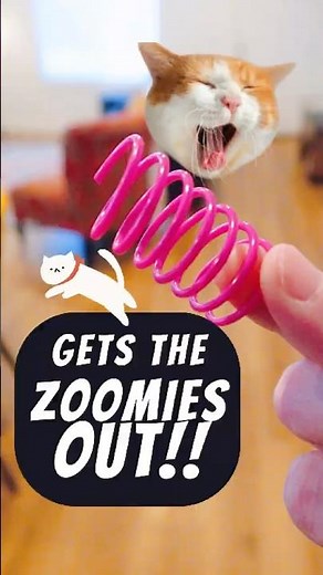 Cat Spring (Best Cat Toy) #ad