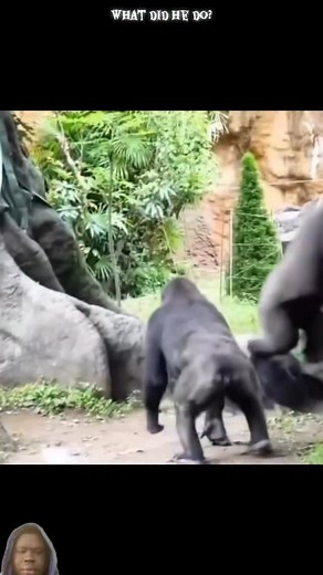 The repercussions of somebody else’s action #whatdidido #tarzan | Amanual Angoi Comedy