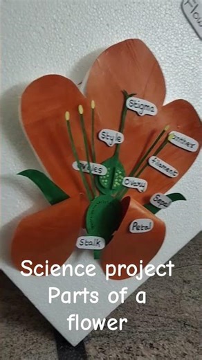 parts of a flower #science