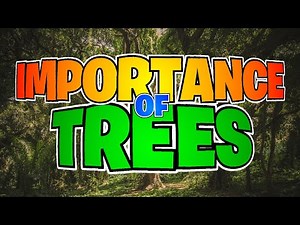 Importance of Trees🌳 | About Trees ,Types,Uses,etc (Grade 1-4)