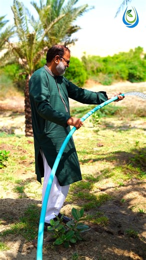 Dua AgroFarm has initiated a date palm cultivation project and appealing to the Chief Minister of Sindh Murad Ali Shah for support and attention towards this agricultural development. 🌐 www.duaf.org 📞 0321 2502755 #duafoundation #duaangrofarm #donatenowtohelp #foryoupagereels #plantation #palm #hopebeginshere #Pakistan | DUA Foundation Karachi