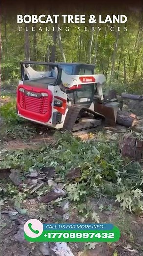 Bobcat Tree & Land Clearing Services