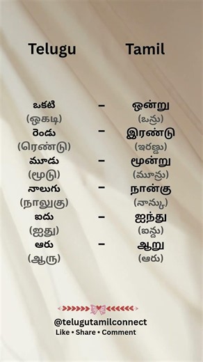 Telugu ❤️ Tamil? 🔢✨Learning numbers is the first step to learning any language 😊