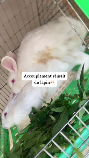 228 99926892 #foryou #pourtoii