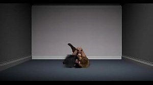 3d rolling catfight 2