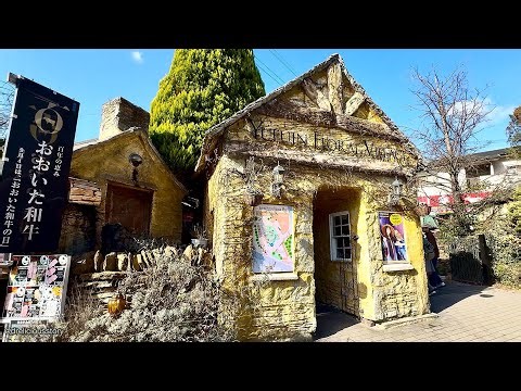 🇯🇵 Yufuin Shopping Streets Floral Village Walk Around Tour Review @ Yufuincho Kawakami 湯布院町川上 Kyushu