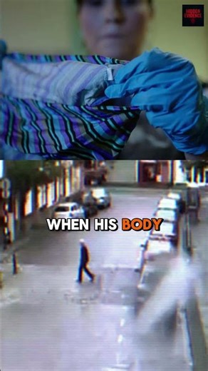 The Disappearance of Peter Bergmann (2009)