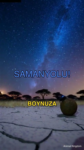 How is it possible that this 3-centimeter insect is the strongest animal in the world? #Shorts