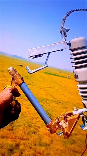 11kv line fuse cutout #electricity #power