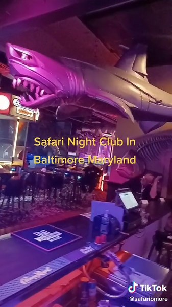 Safari Club on TikTok