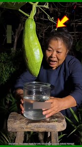 Why do Chinese women drink gourd juice? #reelsfb #short #facts | Watch and Back