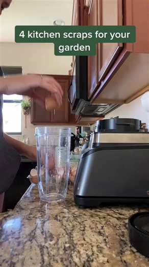 39K views · 931 reactions | These kitchen scraps are good for your garden! #kitchenhacks #gardeninspiration #gardeningtips | Neighborhood Farms USA | Facebook