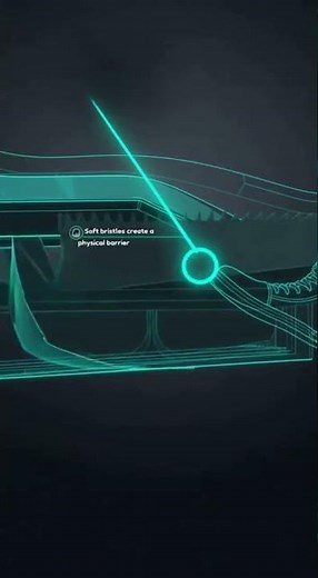 Why Escalators Have Bristles on the Sides (Explained in 15 Seconds)