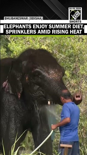 Elephants enjoy summer diet and sprinklers amid rising heat at Nandankanan Zoological Park