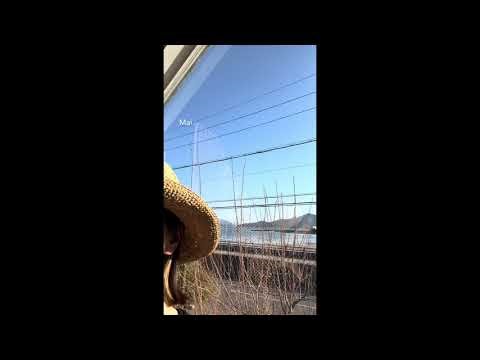 Hey Jude – The Beatles | Ukulele Cover | From the Sea