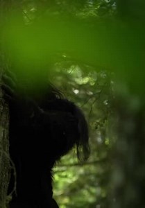The Alaska Triangle S01:E10 - Alaskan Bigfoot
