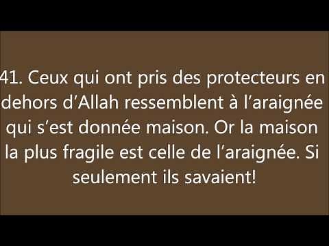 Coran : Sourate 29, Al Ankabut (L'Araignée) العَنکبوت