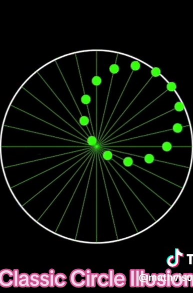 This is my take on a classic circle illusion showing 14 dots seemingly moving in a circular pattern. It turns out each dot is moving along a straight line (the simplest hypocycloid). This illusion is known as the Tusi couple, named after Persian mathematician Nasir al-Din al-Tusi (https://en.wikipedia.org/wiki/Tusi_couple). #shorts #mathshorts #math #spirograph #mathvideo #manim #animation #mathematics #hypocycloid #illusion #circle #tusi
