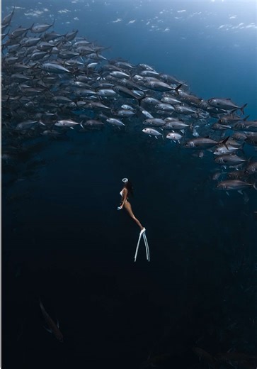 Conquering Strong Currents: My Adventure