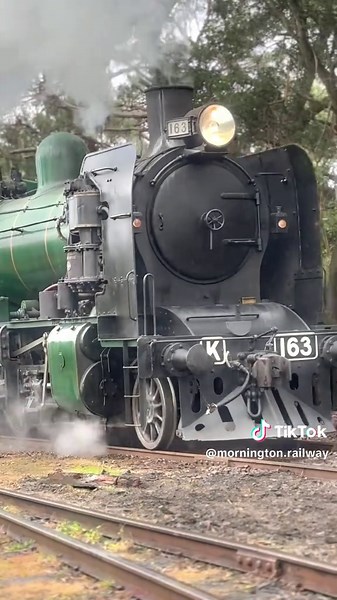 Built in 1941 by the Victorian Railways, steam locomotive K163 continues to carry passenger on the Mornigton Tourist Railway over 80 years later! #steamtrian #fyp #foryoupage #morningtonpeninsula #thingstodo
