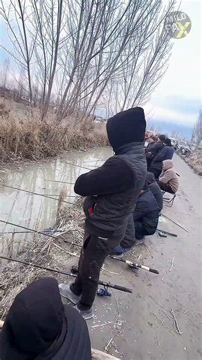 Why Do Fishermen Crowd One Tiny River Spot? 🤔🎣