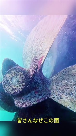 ＃ライフハニーチップ＃ライフアドバイス＃チックトークで学ぶ＃おすすめフィード＃おすすめビデオ