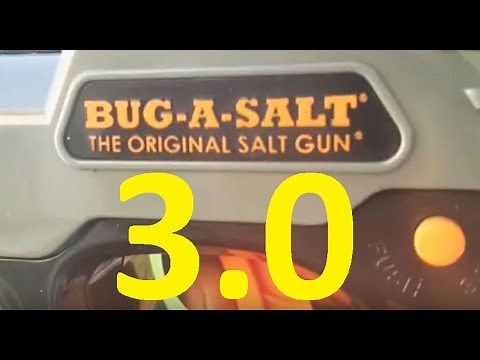 Bug-A-Salt 3.0 - Can it kill a WASP?? - Bug-A-Salt Hunt #001