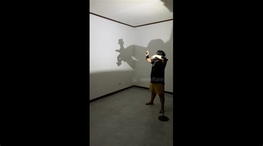 Shadow artist uses only his hands to recreate Michael Jackson performance