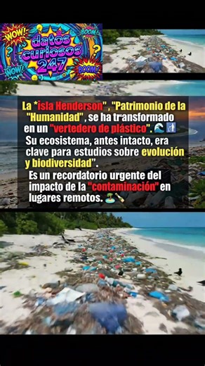 Isla Henderson: El paraíso convertido en vertedero 🏝️🗑️ #datoscuriosos #IslaHenderson
