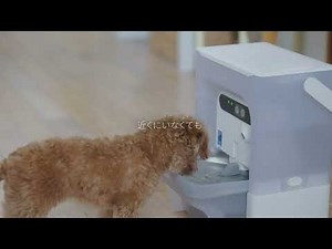 PETKIT｜AIカメラ付き自動給水機 / P4117【PETKIT公式】