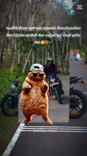 6.2K views · 514 reactions |  #hycode #BS4 #bha5365 #ns200modified #Panadura | Sihath Samaraweera | Facebook