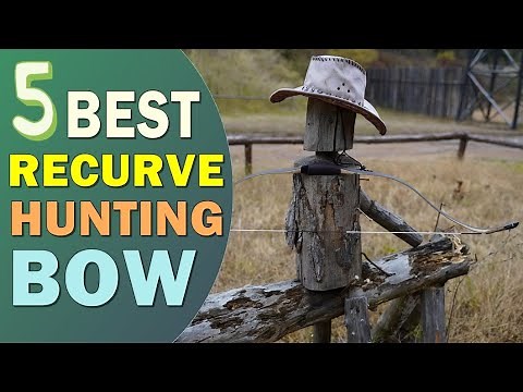 Best Recurve Bow 2024-2025 👌 Top 5 Best Recurve Bow for Hunting