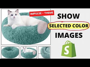 How to Display Only Selected Color images Product Page in Shopify [IMPULSE Theme]