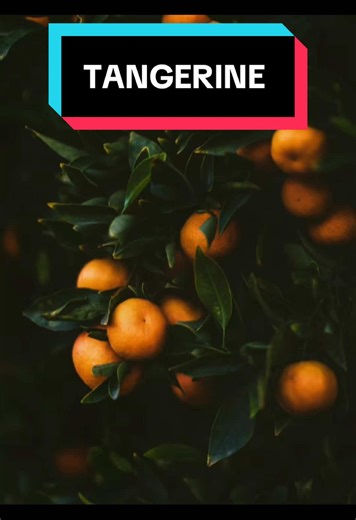 Exploring the Wonders of Tangerines