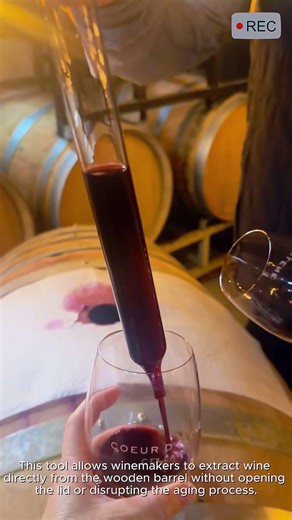 Wine Thief Tool for Tasting from Barrel #video #viral #creative #technology #machine