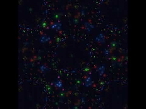 Vivaldi's Summer — Harmonic Kaleidograph Visualization