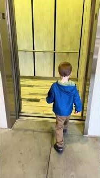 Preschooler rides parking garage elevator with pictures of birds on the ceiling at Marriott villa.