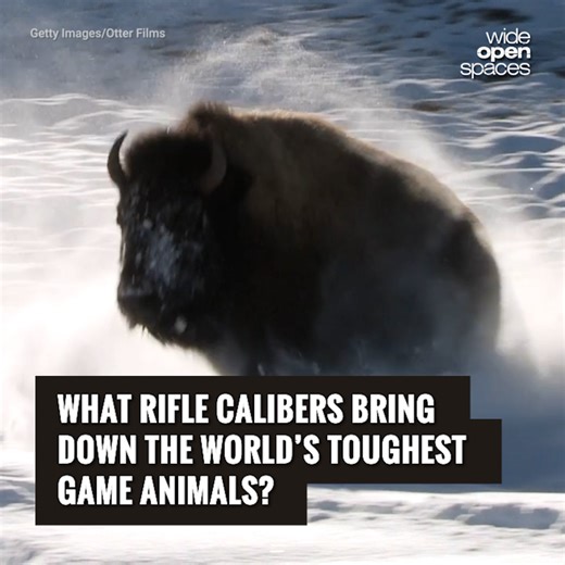 Do any of these surprise you? --> https://bit.ly/3yszLcR | Wide Open Spaces