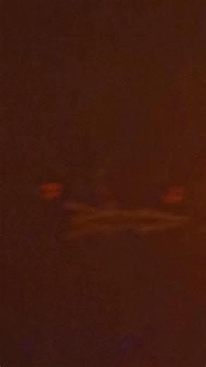 Mark Newman on Reels | Facebook