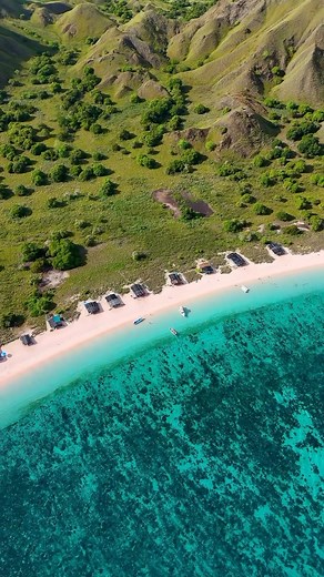 32K views · 218 reactions | Labuan Bajo in Flores is home to a rare treasure - a pink beach! ️ One of only eight in the world, this stunning coastline owes its unique color to microscopic animals called Foraminifera.  Seeing is believing, so why not witness this natural wonder for yourself?   Pink Beach, Labuan Bajo, East Nusa Tenggara  @__agiff #WonderfulIndonesia #WonderfulJourney #LabuanBajo #PinkBeach | Indonesia.Travel | Facebook