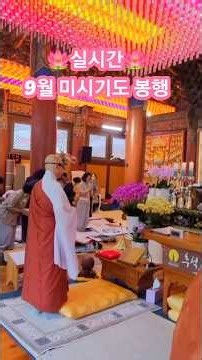 🪷실시간🪷미시기도는 혜묵스님의 집전으로 봉행되고있습니다 #금강경봉찬기도 #미시기도 #구정례 #혜묵스님 #shorts