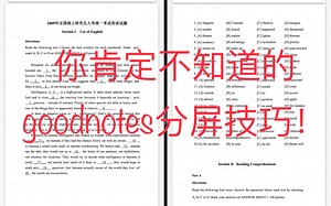 Goodnotes同一个文件分屏操作！